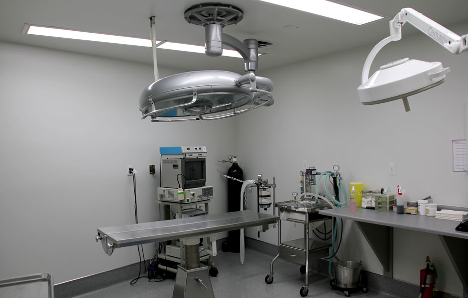 The Animal Medical Centre Edmonton - Surgery Room The Animal Medical Centre Edmonton - Surgery Room